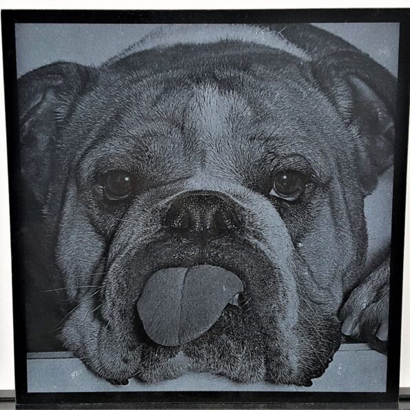 photo engraving photo etched dog granite memorial stone