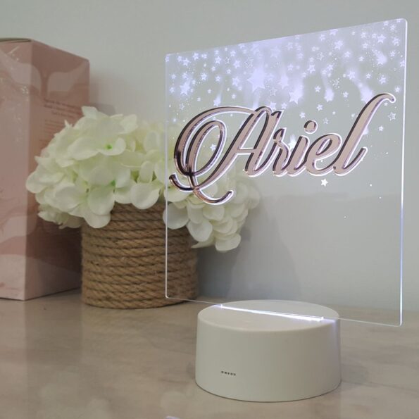 rose gold acrylic custom light name