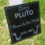 Granite Pet gave marker